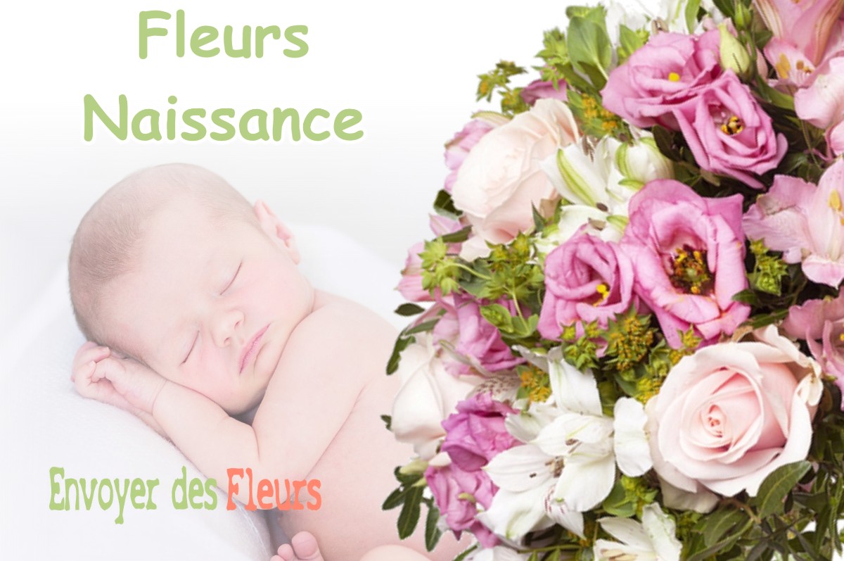 lIVRAISON FLEURS NAISSANCE à SINDERES